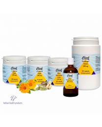 3 maanden programma compleet