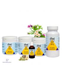 6 weken programma compleet