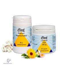 Lever-programma Clark