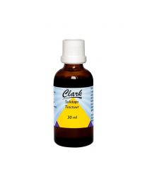 Solidago tinctuur 30ml
