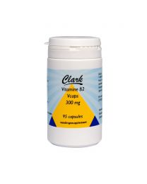 Vitamine B2 Riboflavine 300 mg. 95 vcaps.