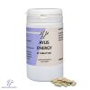 Ayus Energy 45 tabletten