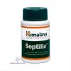 Septilin 100 tabletten